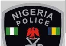 Edo Police Arrest Woman For Staging Own Kidnap, Recovers N5m Ransom